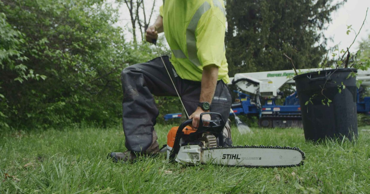 Arborist Consulting service in San Juan Capistrano, CA