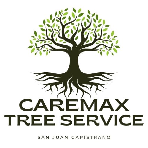 CareMax San Juan Capistrano Tree Services logo